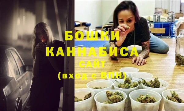 гидра Верхний Тагил